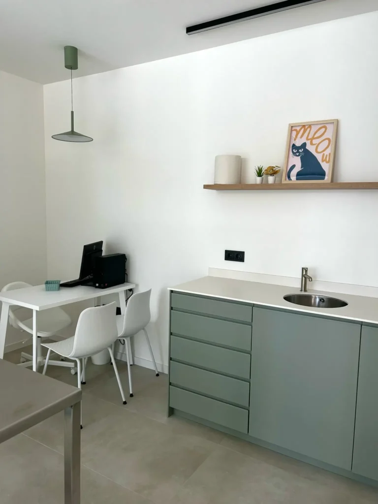 Consulta gats Clinica Veterinaria WECAN Tortosa Joana Domingo