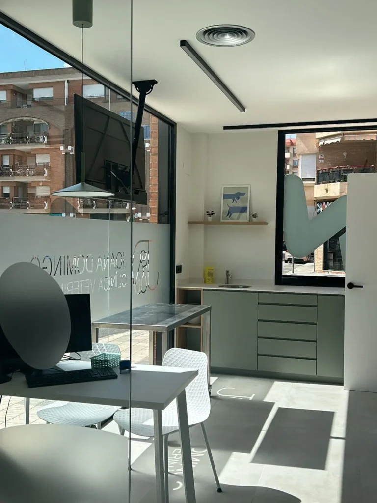 Consulta gossos Clinica Veterinaria WECAN Tortosa Joana Domingo