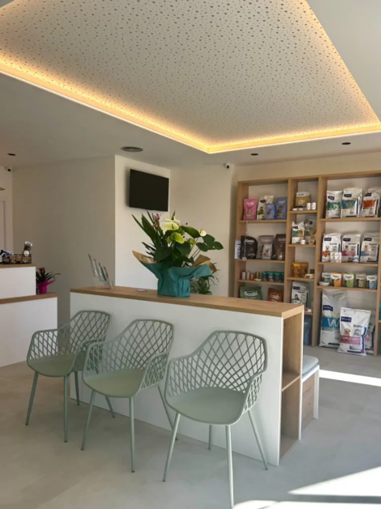 Sala d'espera Clinica Veterinaria WECAN Tortosa Joana Domingo