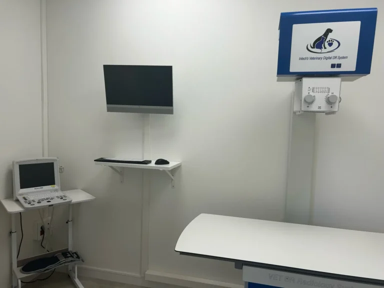 Sala d'imatge Clinica Veterinaria WECAN Tortosa Joana Domingo