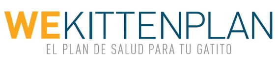 WeKittenPlan Clinica Veterinaria WECAN Tortosa Joana Domingo